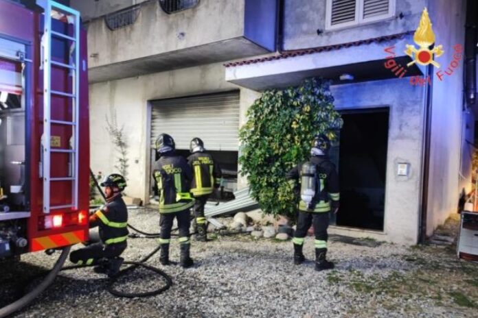 InCollage_20230222_111955261