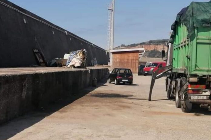 InCollage_20230222_140937578