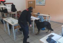 Droga:::controlli nelle scuole della Provincia di Cosenza