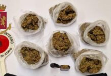 In auto con 300 grammi di marijuana da spacciare. Arrestato