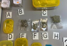 Cocaina e Marijuana in casa. Arrestato giovane pusher Cosentino