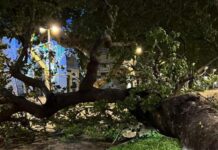 Praia a mare. Raffiche di vento. Grandi disagi. Zona interdetta