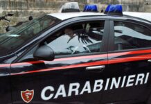 Rinvenute centinaia di munizioni in un muro a secco