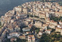 Fuscaldo, il cane Simba ucciso a fucilate. Condanna unanime, cittadini pronti a scendere in piazza