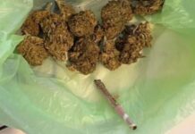 In possesso di una piantina di Marijuana e di dosi pronte allo spaccio. Beccato dalla Polizia