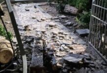 Tirreno Cosentino. Perde controllo auto e impatta contro attività commerciale