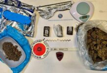 Marijuana nel frigorifero pronta allo spaccio. Arrestato