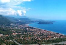 Orrore sul Tirreno Cosentino. Tre cani avvelanati