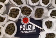 Quasi due chili di Marijuana in un magazzino abbandonato