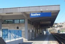 Infastidisce i passeggeri del Treno. Fatto scendere alla stazione di Scalea
