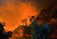 Incendi in Calabria. C’è un morto
