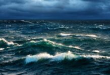 Cadavere di una donna in mare. Dramma in Calabria