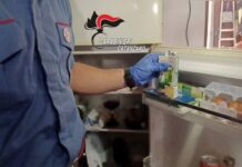 Nascondeva la droga nei dadi per brodo. Arrestato