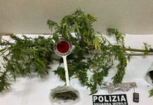 Piantine di Marijuana e droga già pronta per lo spaccio. Nei guai un 44enne