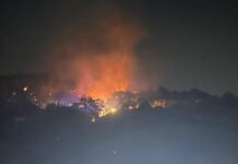 Tirreno Cosentino. Bruciano le colline da Sangineto a Grisolia. Persone intossicate dal fumo