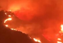 “Inferno” Tirreno Cosentino. Bruciano le colline dell’appennino Paolano.