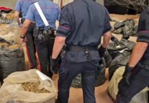 Tre tonnellate di Marijuana sequestrate. Duro colpo ai Narcos calabresi