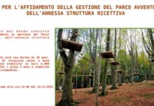 Longobardi. Pubblicato il bando per gestione di Parco Avventura. Soddisfatto il sindaco Giacinto Mannarino