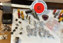 La Polizia di Stato sequestra armi e droga nella zona “300 alloggi”