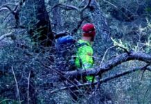 Fungaiolo disperso. Concluso il quarto giorno di ricerche