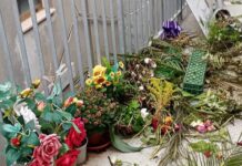 “Il Cimitero di Cetraro nel degrado più totale”