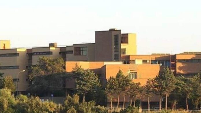 InCollage_20231230_130909595