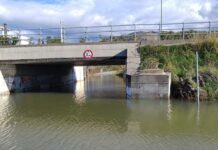 Grisolia. Esonda fiume. Case allagate – FOTO –