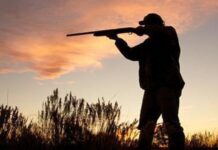 Tirreno Cosentino, gli parte un colpo di fucile e si ferisce a una gamba