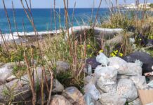 Rifiuti tra Belvedere e Diamante “Il confine della vergogna”