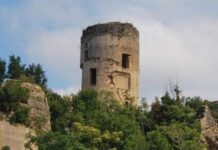 Paola, diciannovenne aggredito da due cani nel rione Croce