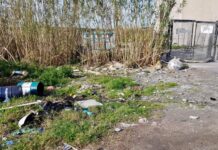 Amantea, oli esausti abbandonati nei pressi dell’isola ecologica