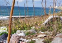 Belvedere M.mo, Legambiente propone giornata ecologica per ripulire la scogliera al confine con Diamante