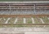 Tirreno Cosentino, tragedia sui binari ferroviari, uomo investito da un treno