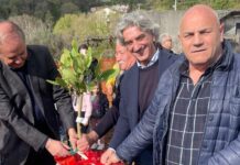 Cetraro, Cesareo, Aita e Aieta inaugurano l’inizio dei lavori di una scuola innovativa