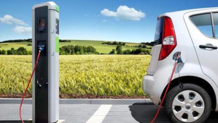 InCollage_20240412_130030724