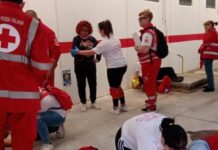 Amantea. Domenica 14 Aprile si terranno le Olimpiadi di Primo soccorso della Croce Rossa italiana
