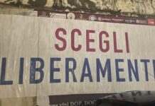 Diamante “Scegli liberamente” lo striscione viene rimosso. È polemica