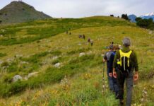 Cammino di San Francesco di Paola: dal 16 maggio il pellegrinaggio inaugurale del quarto percorso