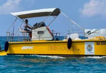 Tirreno Cosentino. Tornano in azione i battelli ‘spazzamare’.