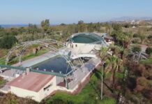 Scalea. Piscina comunale, il TAR certifica la posizione dell’amministrazione. Parte la riqualificazione