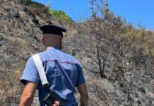 Arrestato presunto piromane in provincia di Cosenza