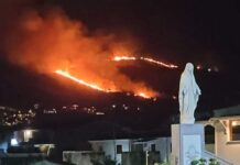Incendio tra Santa Maria del Cedro e Grisolia. Devastata l’area collinare