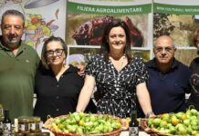 Belvedere Marittimo “celebra” il Gilò, tesoro della tradizione culinaria locale