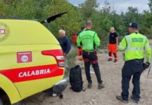 Uomo colto da malore mentre cerca funghi. Paura nel cosentino