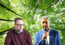 Legambiente, 10mila nuovi alberi da piantare. Scalea e San Lucido aderiscono all’iniziativa