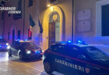 Furto con cavallo di ritorno. Blitz dei Carabinieri anche sul Tirreno Cosentino