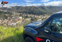 A bordo della sua auto con cocaina e denaro. Arrestato un 32enne Cosentino