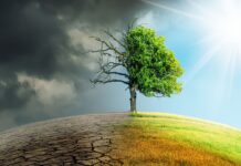 Tavola rotonda a Rende sulla “Gestione proattiva del rischio legato al cambiamento climatico: effetti su banche, economia e finanza”