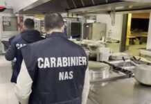 Controlli Nas nelle mense scolastiche: gravi irregolarità in un istituto su quattro