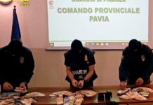 Tonnellate di droga e denaro tra Calabria a Milano: banda dedita al narcotraffico all’ombra della ‘ndrangheta: 20 arresti